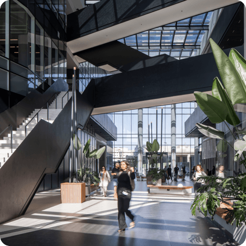 בדיקת מאסטר